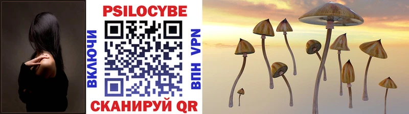 Псилоцибиновые грибы Psilocybine cubensis  Аша 